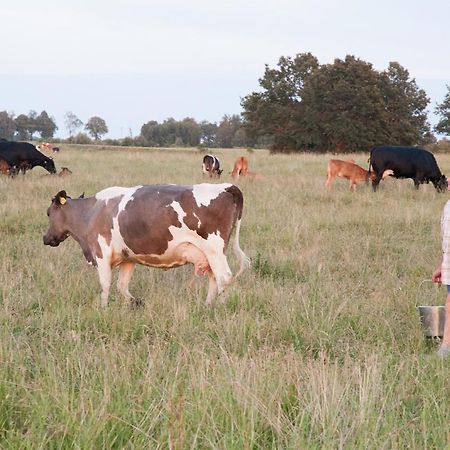 Agroturystyka Lolkowo Srokowo Exteriör bild