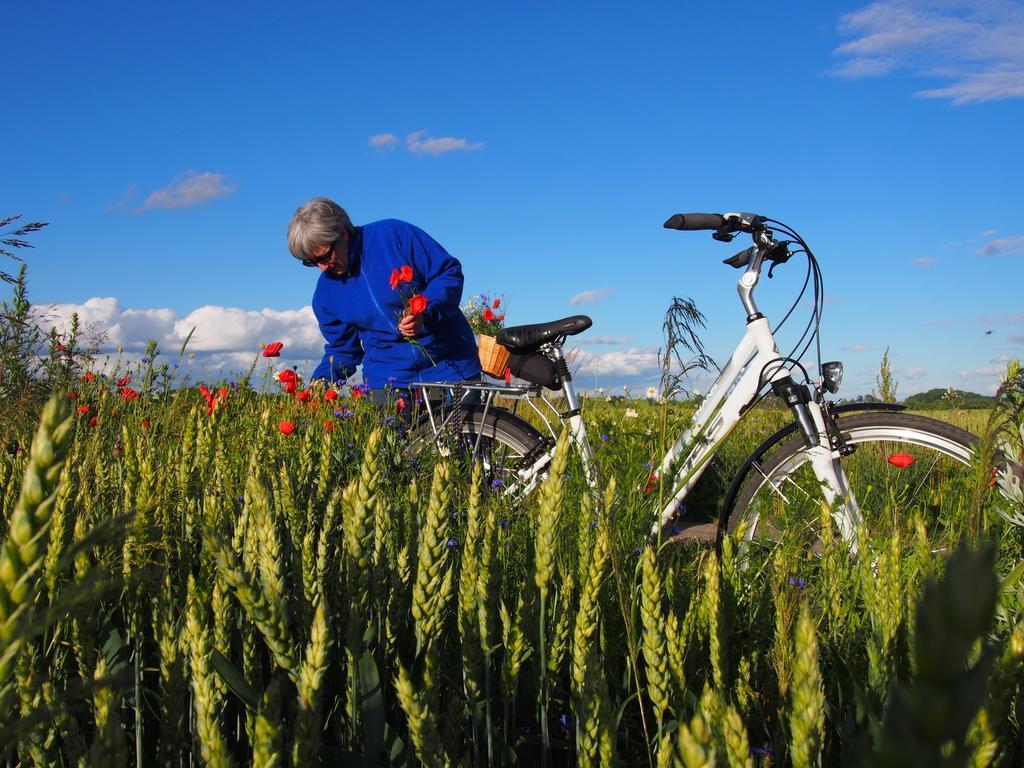 Agroturystyka Lolkowo Srokowo Exteriör bild