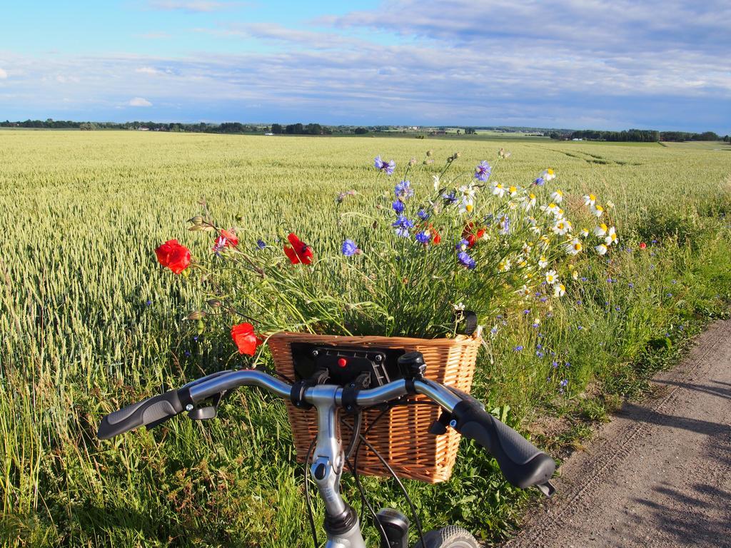Agroturystyka Lolkowo Srokowo Exteriör bild