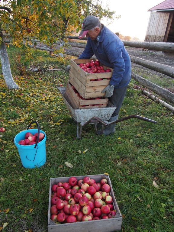 Agroturystyka Lolkowo Srokowo Exteriör bild