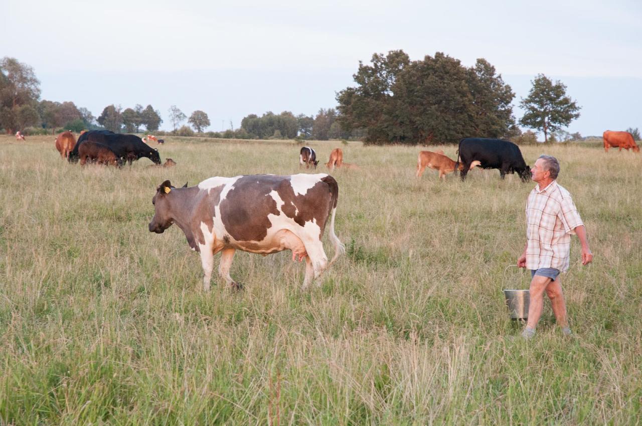 Agroturystyka Lolkowo Srokowo Exteriör bild