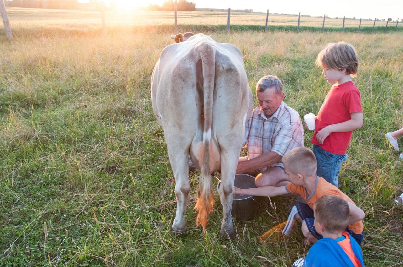 Agroturystyka Lolkowo Srokowo Exteriör bild
